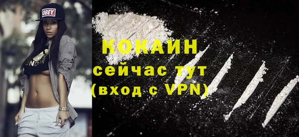 соль ск Горняк