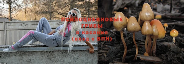 дурь Горно-Алтайск