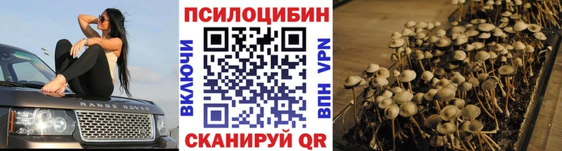 Псилоцибиновые грибы мухоморы  Купить  Киреевск 